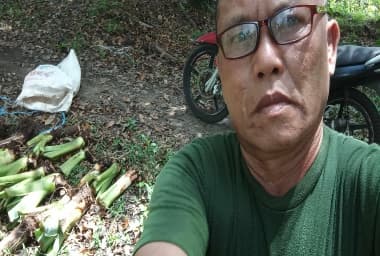 Penyerahan Bibit Ubi Talas Pada Kegiatan Ketahanan Pangan Tahun 2024 Jaga 1