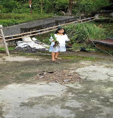 Penyerahan Bibit Jaga 1