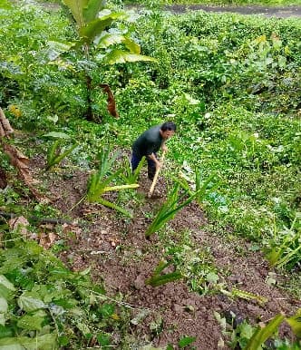 Penyerahan Bibit Jaga 1