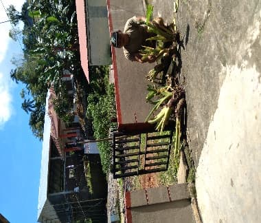 Penyerahan Bibit Jaga 1