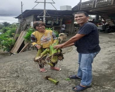 Penyerahan Bibit Jaga 2