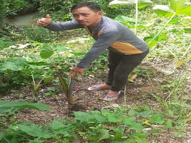 Penyerahan Bibit Jaga 2