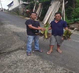 Penyerahan Bibit Jaga 2