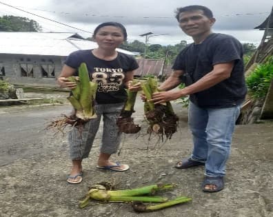 Penyerahan Bibit Jaga 2