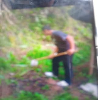 Penyerahan Bibit Jaga 3