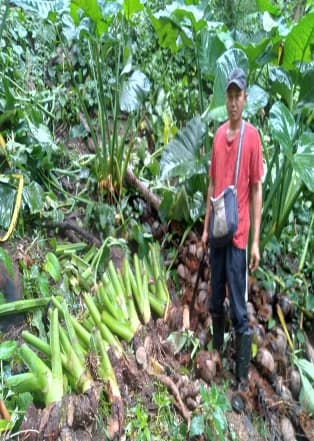 Penyerahan Bibit Jaga 3