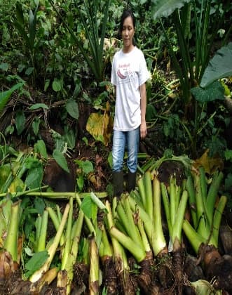 Penyerahan Bibit Jaga 3