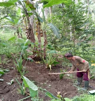 Penyerahan Bibit Jaga 3