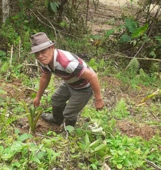 Penyerahan Bibit Jaga 3