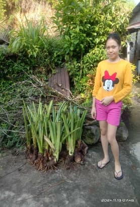 Penyerahan Bibit Jaga 4
