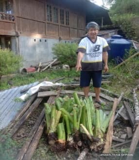Penyerahan Bibit Jaga 4