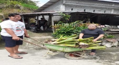 Penyerahan Bibit Jaga 4