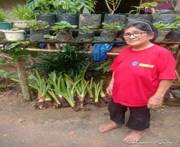 Penyerahan Bibit Jaga 4