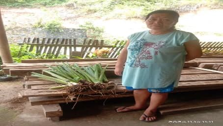 Penyerahan Bibit Jaga 4